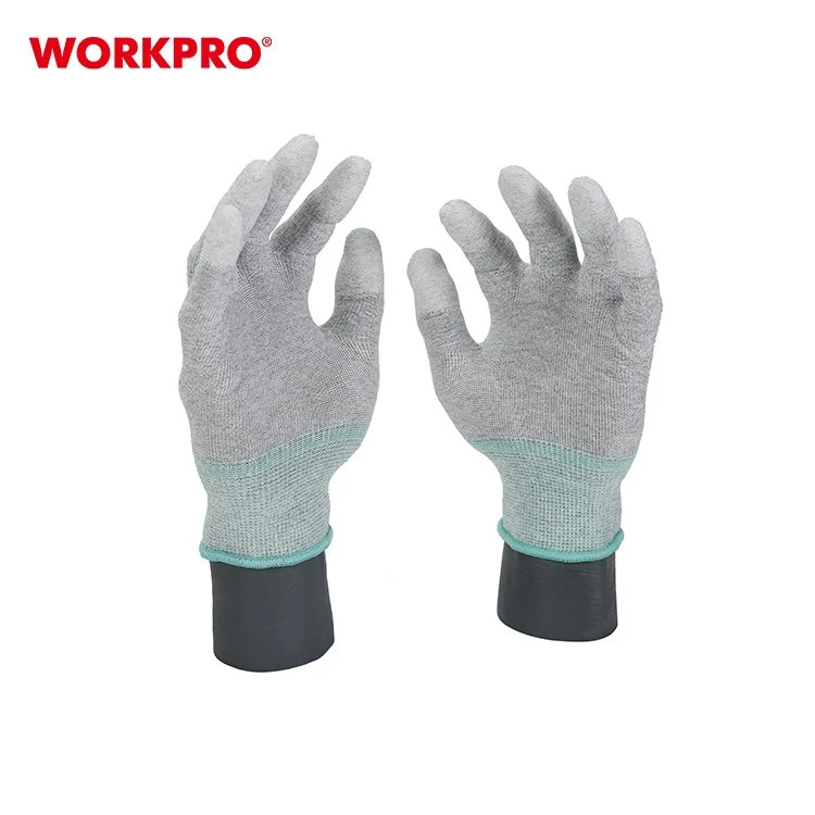 product-750-750 WP371008