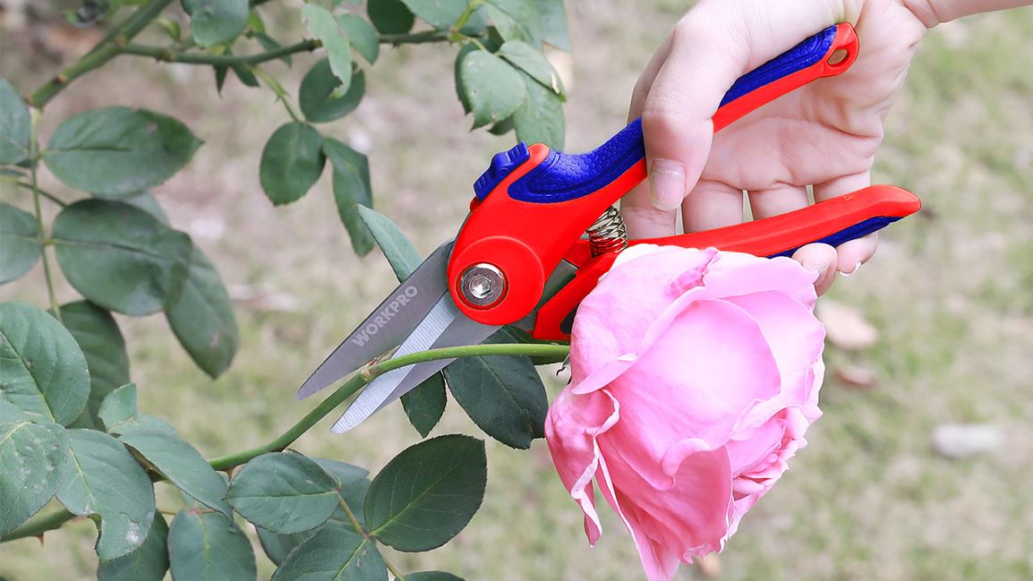 Quais são as diferentes ferramentas usadas na jardinagem