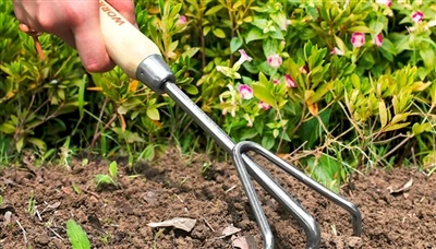 Melhores maneiras de manter suas ferramentas de jardim organizadas e seguras