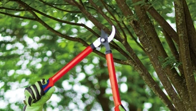 Revolucione seu jardim com as ferramentas essenciais de jardim da WORKPRO