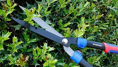 Transforme seu jardim: as melhores ferramentas de jardinagem para cada jardin...